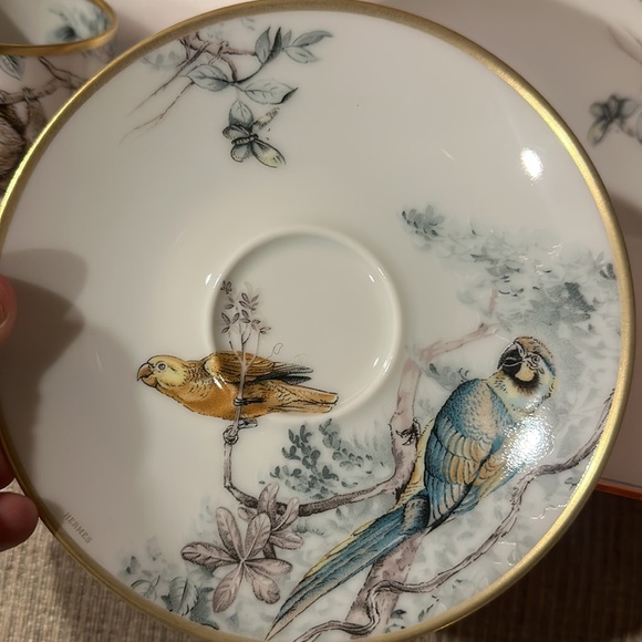 BNWT Hermes Porcelain Tea Cup and Saucer Set - Floral Design - Picture 8 of 14